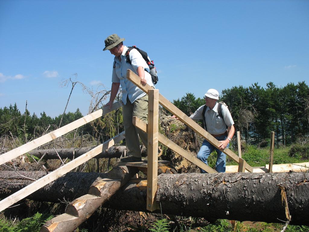 Ferienwohnungen Landgasthof Gilsbach ヴィンターベルク エクステリア 写真